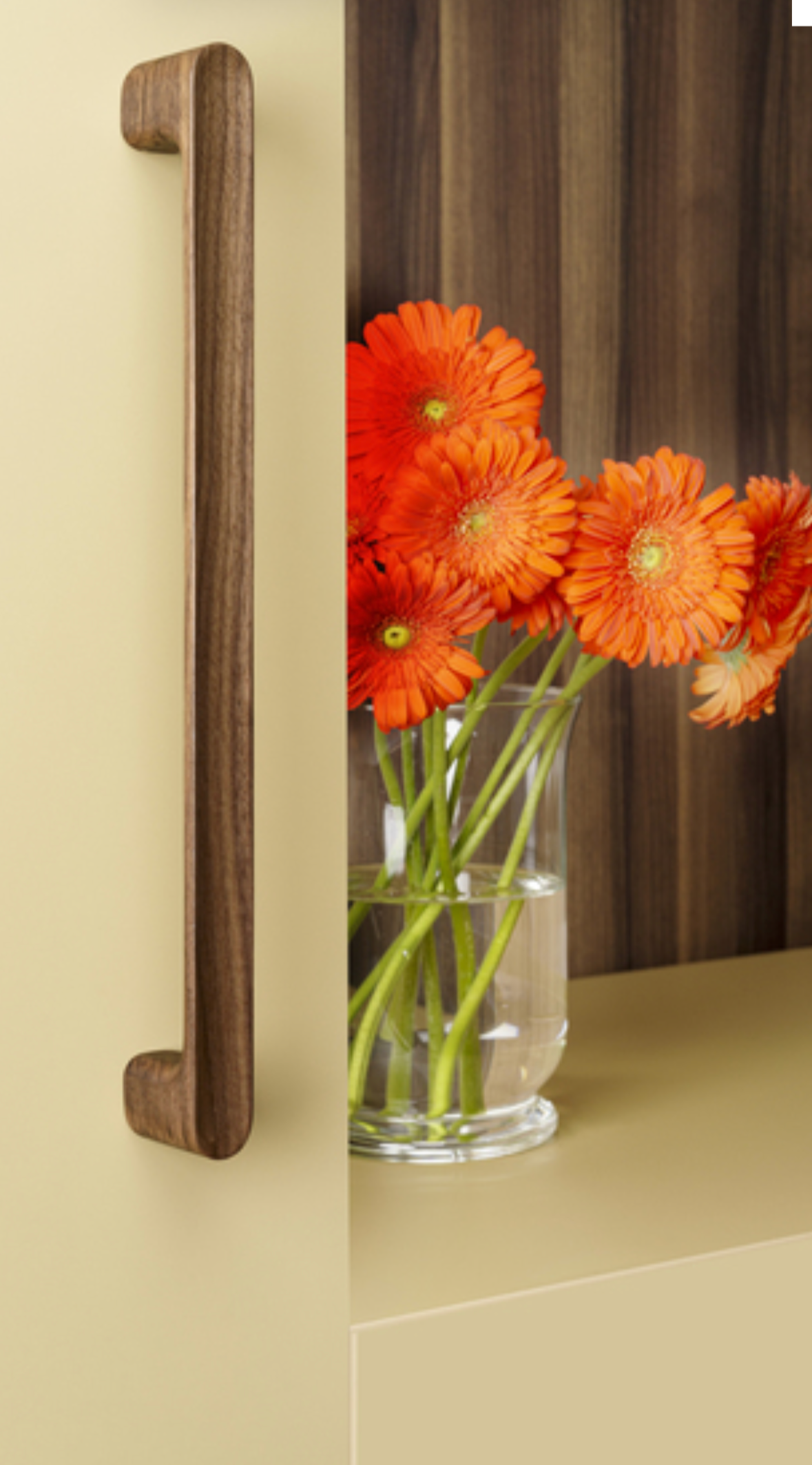 Viefe walnut pull handle with gerbera flowers